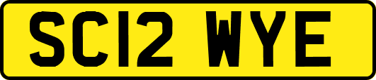 SC12WYE
