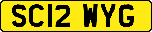 SC12WYG