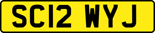 SC12WYJ
