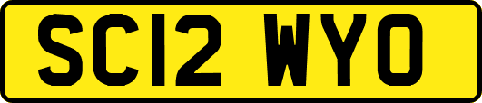 SC12WYO