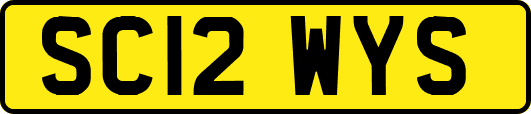 SC12WYS