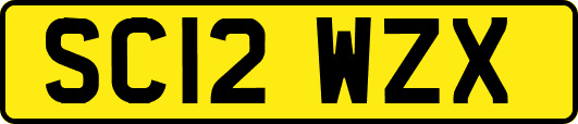 SC12WZX