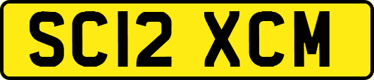 SC12XCM