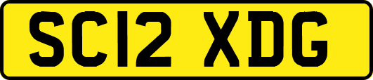 SC12XDG