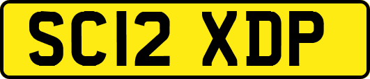 SC12XDP