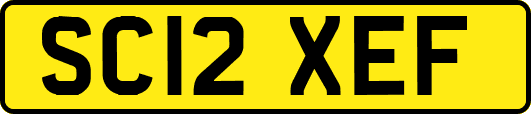 SC12XEF