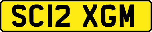 SC12XGM