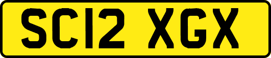 SC12XGX
