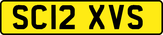 SC12XVS