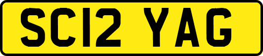 SC12YAG