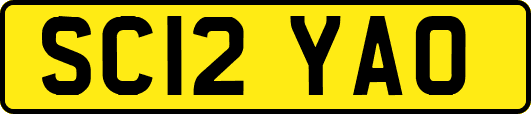 SC12YAO