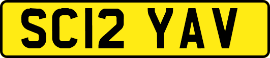 SC12YAV