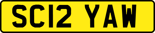 SC12YAW