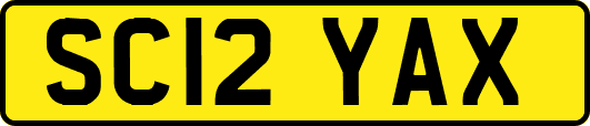 SC12YAX