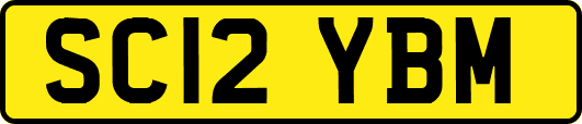 SC12YBM