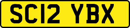 SC12YBX