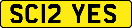 SC12YES