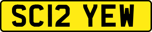 SC12YEW