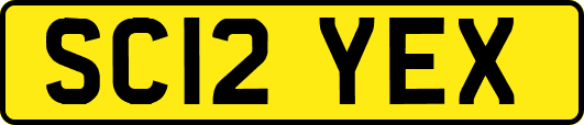 SC12YEX