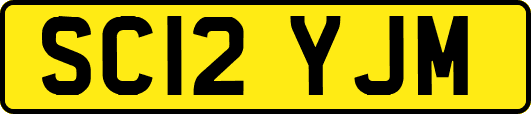 SC12YJM