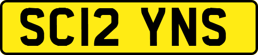 SC12YNS