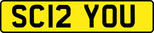 SC12YOU