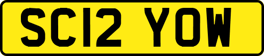 SC12YOW