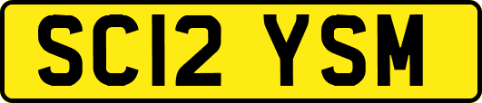 SC12YSM