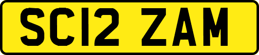 SC12ZAM