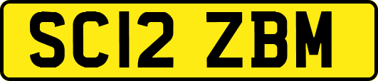SC12ZBM