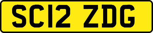 SC12ZDG