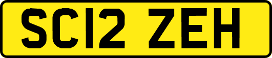 SC12ZEH