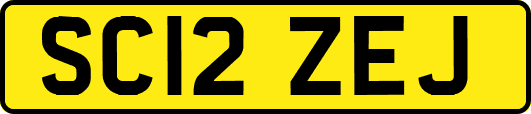 SC12ZEJ