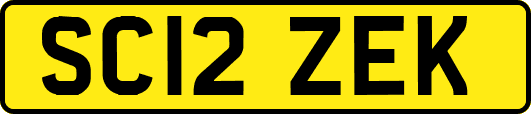 SC12ZEK
