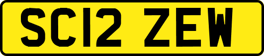SC12ZEW