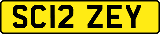 SC12ZEY