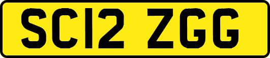 SC12ZGG