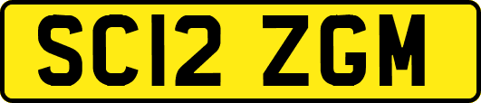 SC12ZGM
