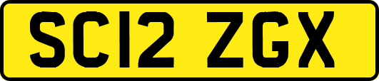 SC12ZGX