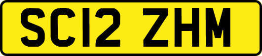 SC12ZHM