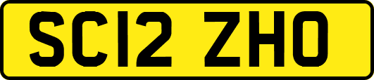 SC12ZHO