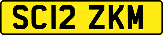 SC12ZKM