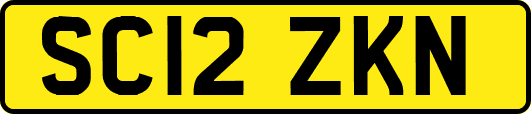 SC12ZKN