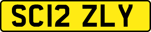 SC12ZLY