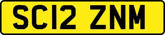 SC12ZNM