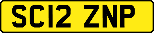 SC12ZNP