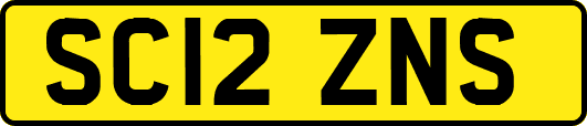 SC12ZNS