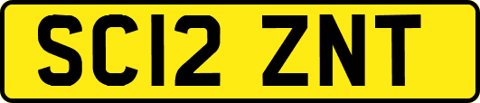 SC12ZNT