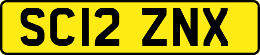 SC12ZNX