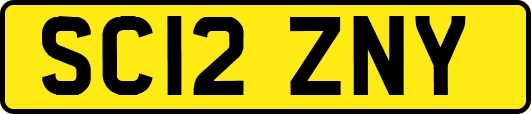 SC12ZNY